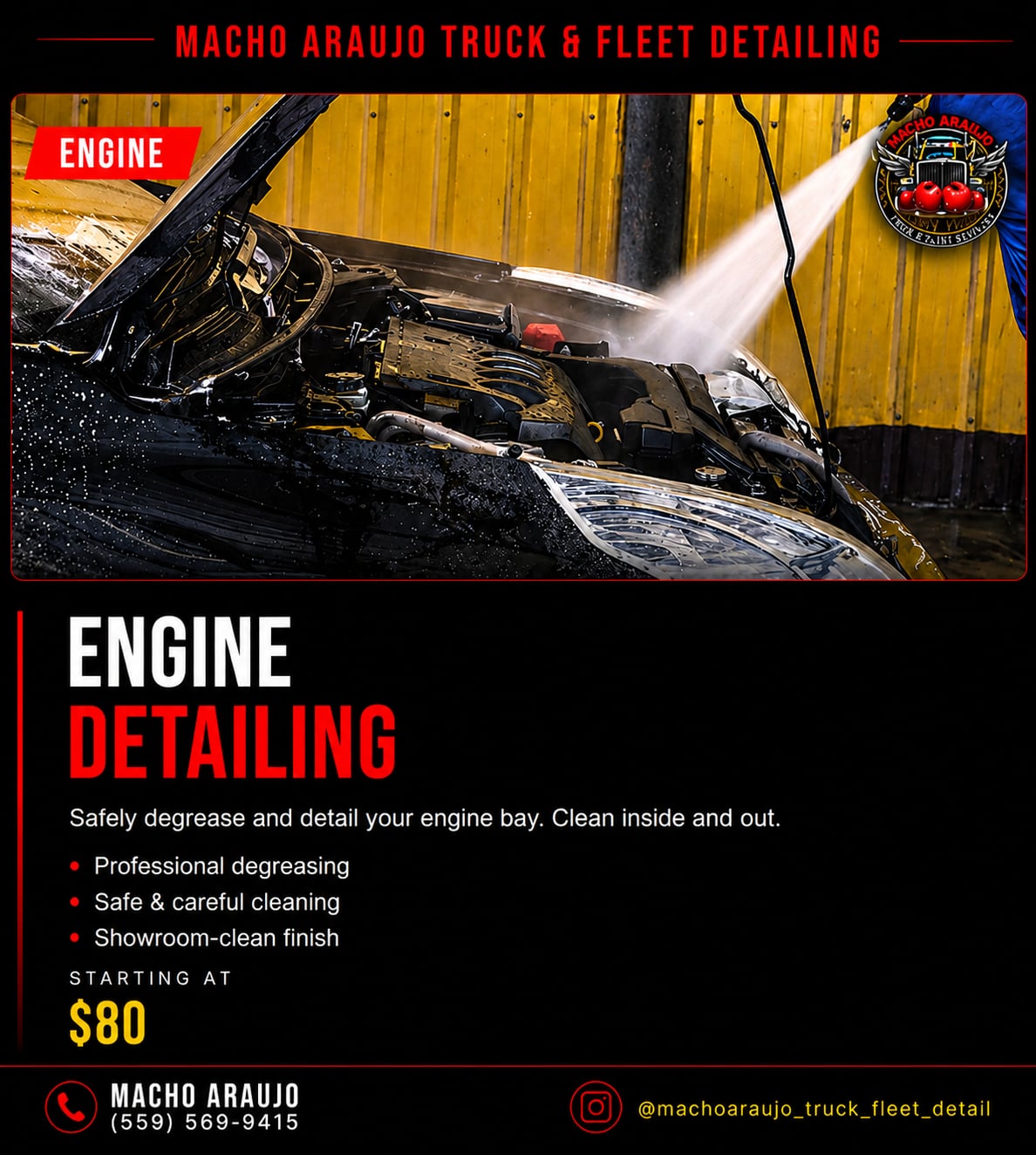 Engine Bay Detailing